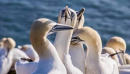 LEYU乐鱼体育官方网站-皇马后防线惨败，再输球海外媒体集体批评，单挑皇马后防线