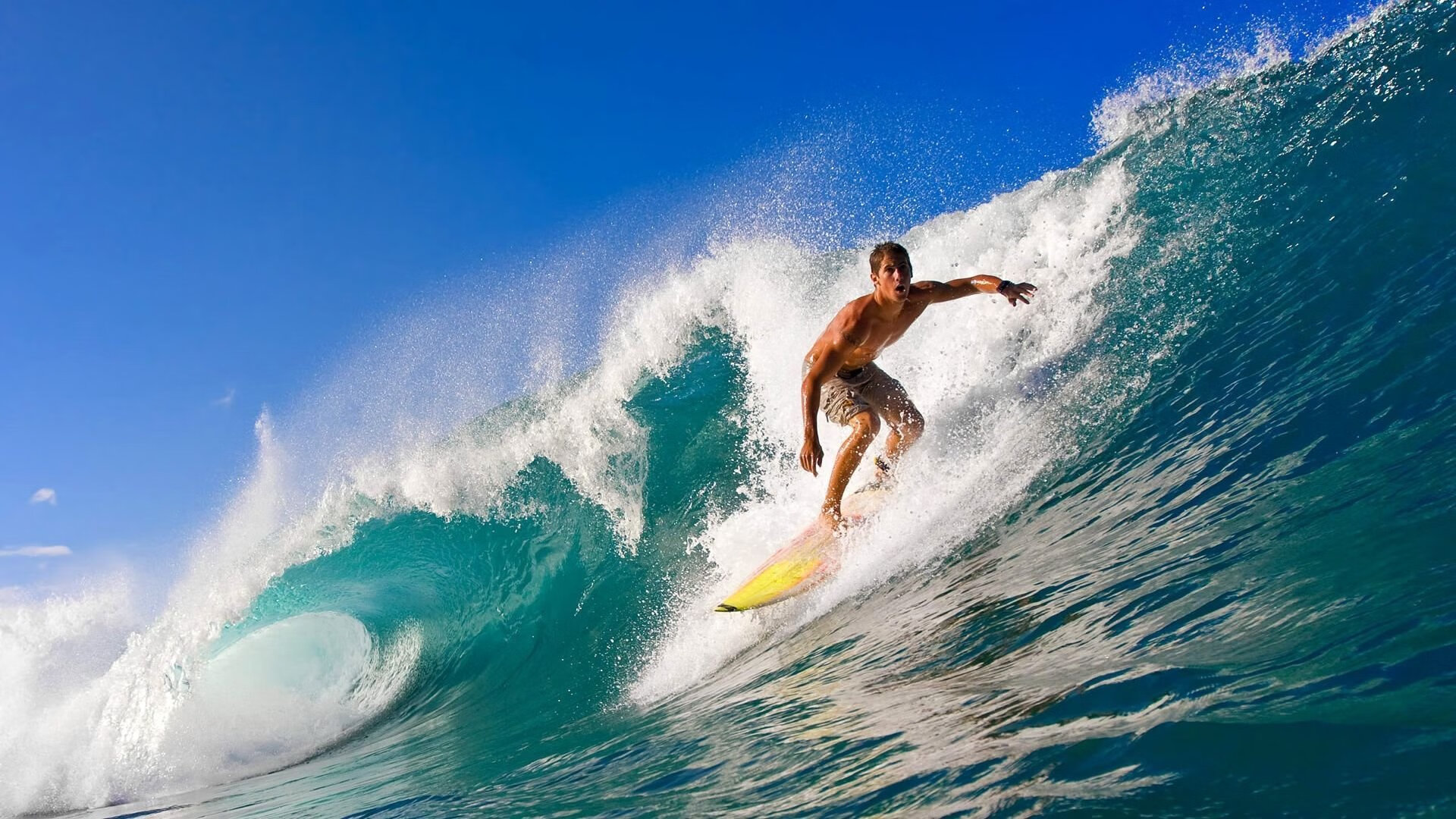 乐鱼电竞在线平台-体育竞技场面激烈刺激，球迷心情澎湃，竞技体育的残酷的句子